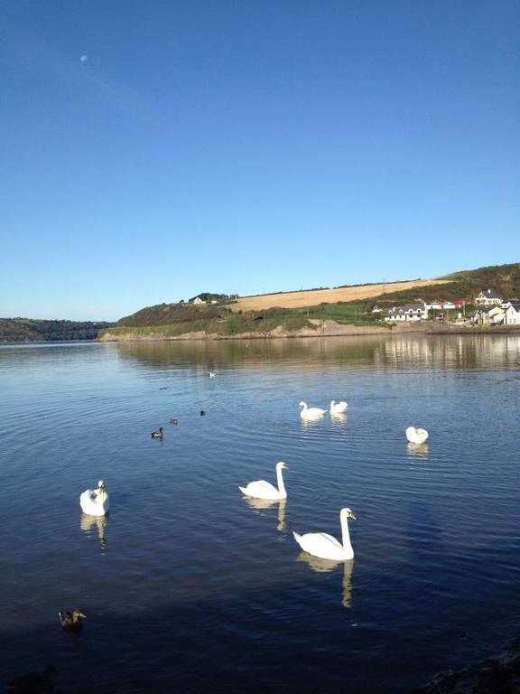 Marsh Mere Lodge Arthurstown Bagian luar foto